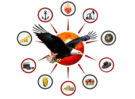 Graceful Solutions Consulting